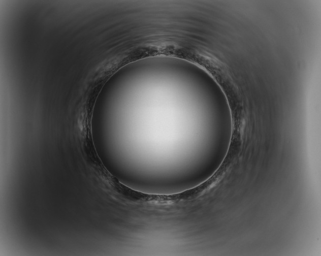 X0000089351014200706151057