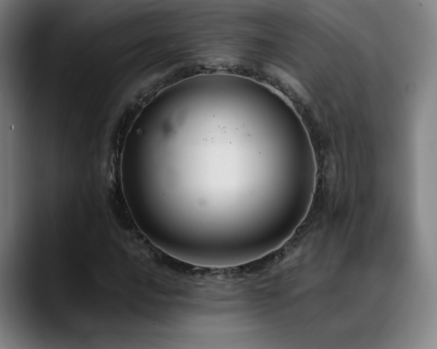 X0000089351016200706151057