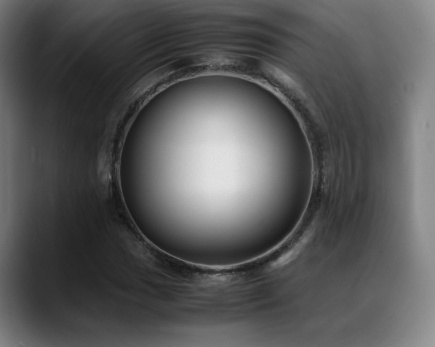 X0000089351017200706151057