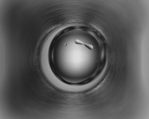 X0000089351018200706151057