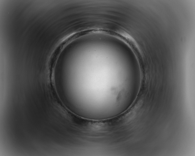 X0000089351019200706151057
