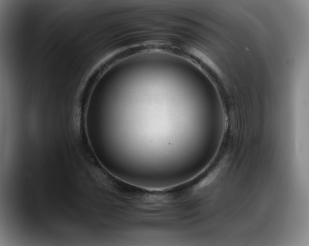 X0000089351021200706151057