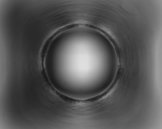 X0000089351022200706151057