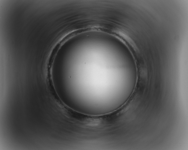 X0000089351023200706151057