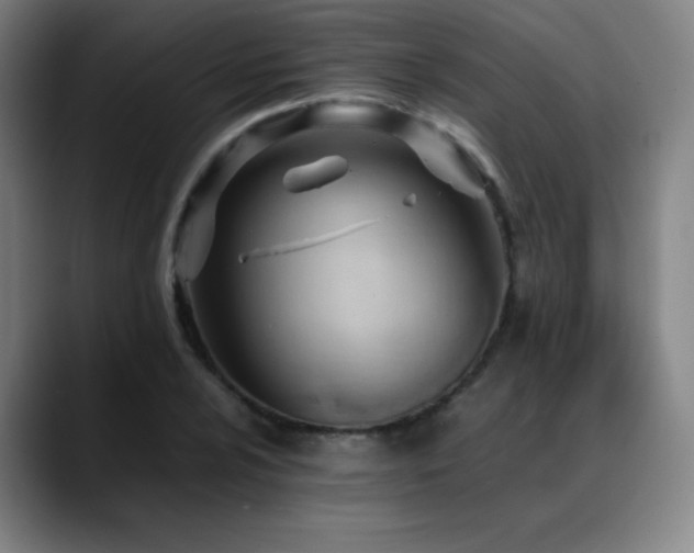 X0000089351024200706151057