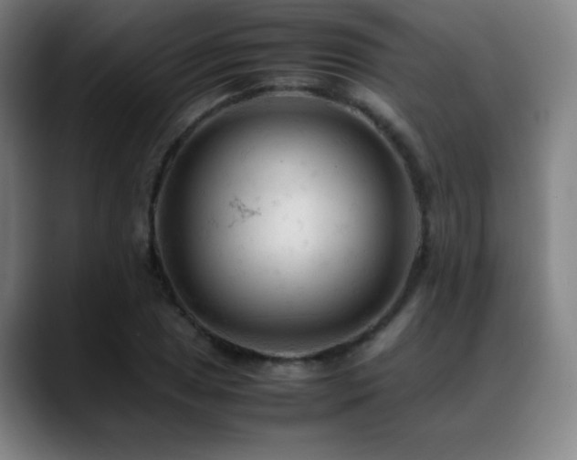 X0000089351025200706151057