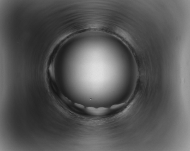 X0000089351026200706151057