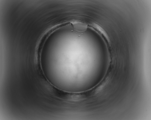 X0000089351027200706151057