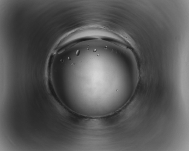 X0000089351028200706151057