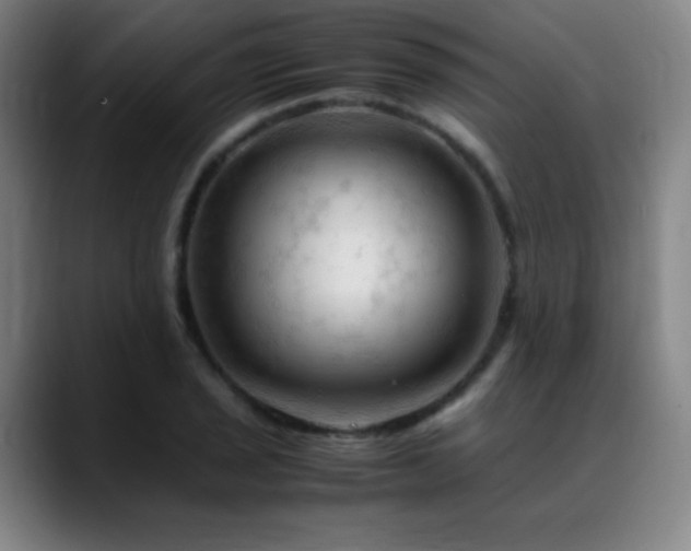 X0000089351029200706151057