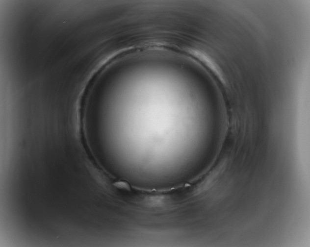 X0000089351031200706151057