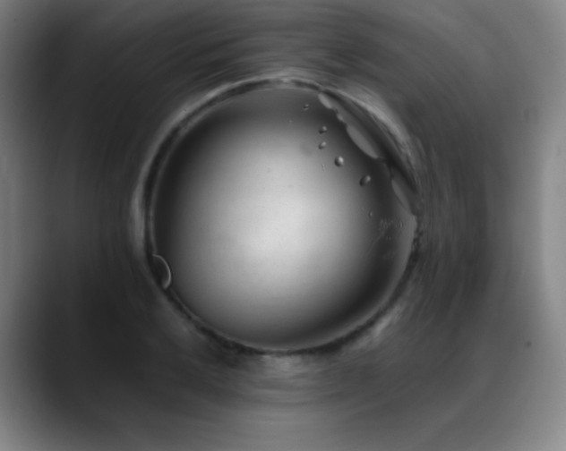 X0000089351032200706151057