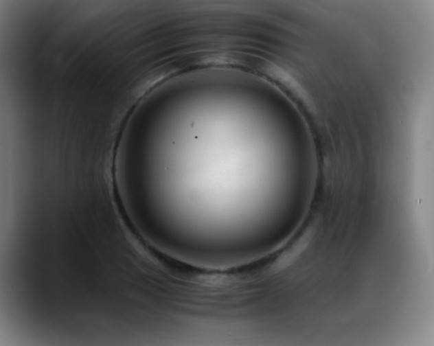 X0000089351033200706151057
