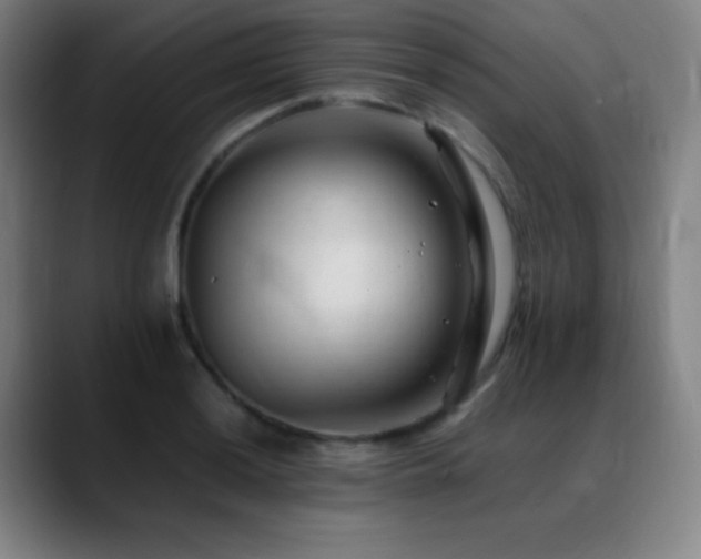 X0000089351036200706151057