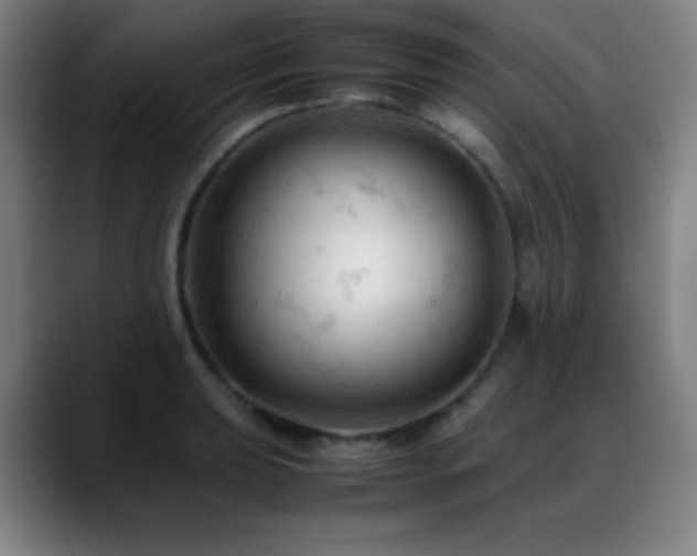 X0000089351039200706151058