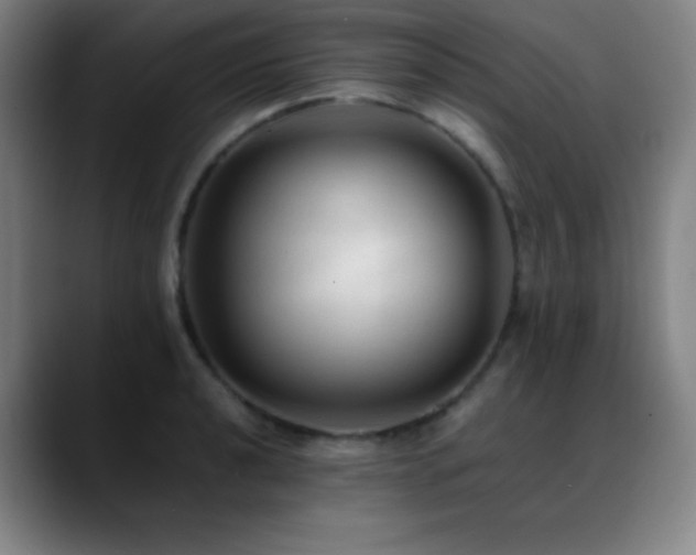 X0000089351040200706151058