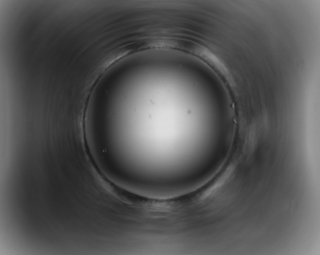 X0000089351041200706151058