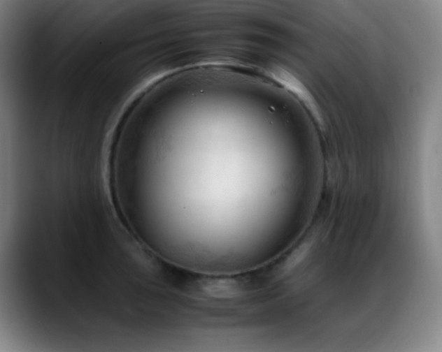 X0000089351043200706151058