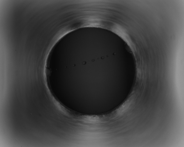 X0000089351050200706151058