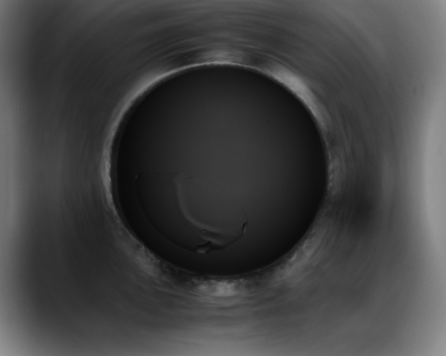 X0000089351051200706151058