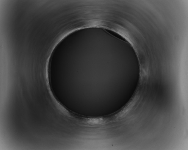 X0000089351055200706151058