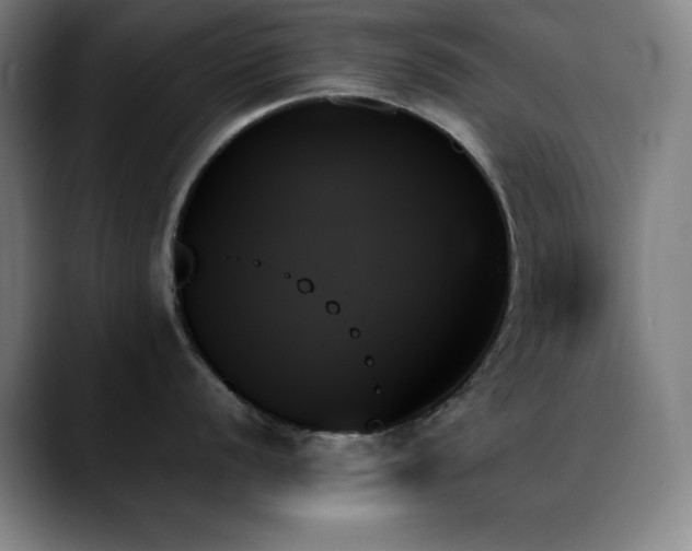 X0000089351056200706151058