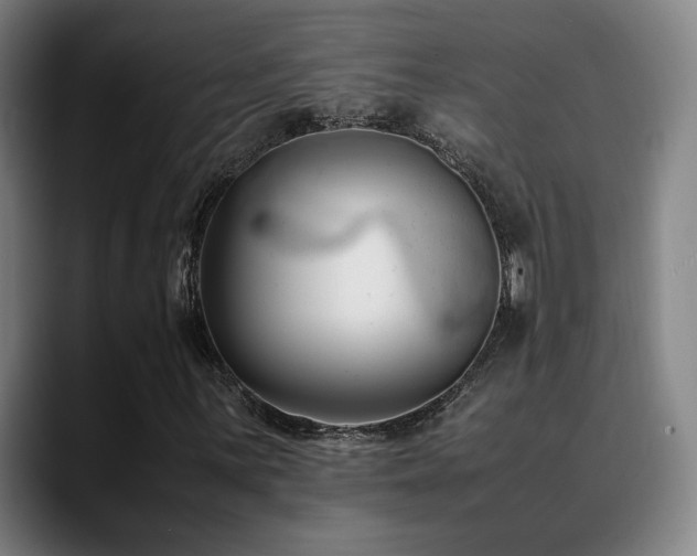 X0000089351059200706151057