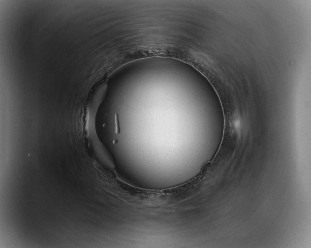 X0000089351060200706151057