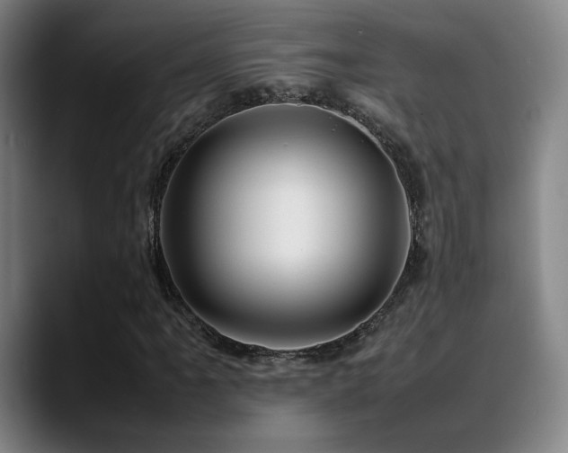 X0000089351061200706151057
