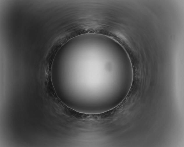 X0000089351063200706151057
