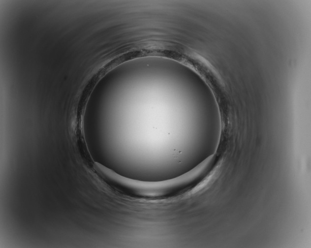 X0000089351065200706151057
