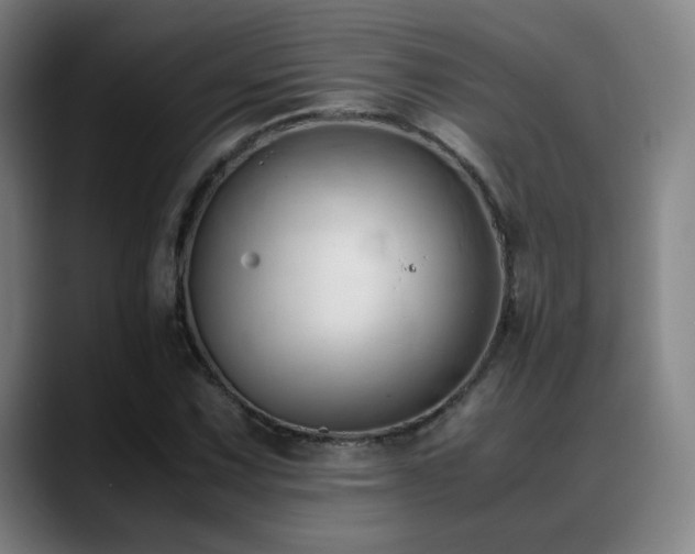X0000089351067200706151057