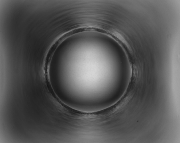 X0000089351068200706151057