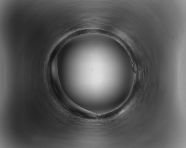 X0000089351069200706151057