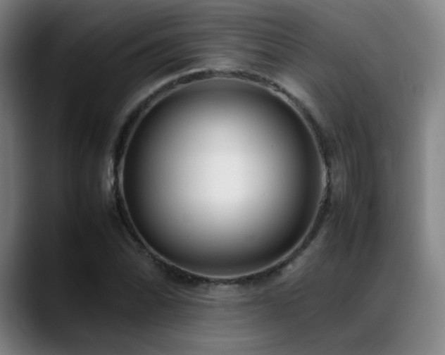 X0000089351070200706151057