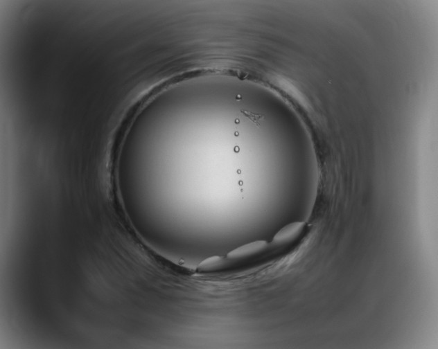 X0000089351071200706151057