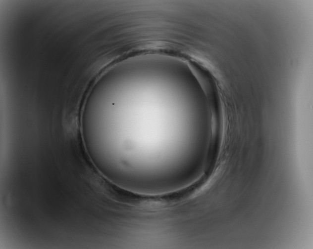 X0000089351073200706151057
