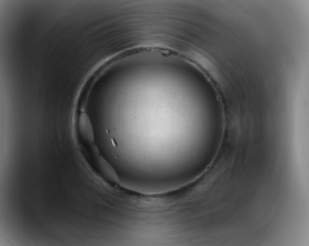X0000089351076200706151057