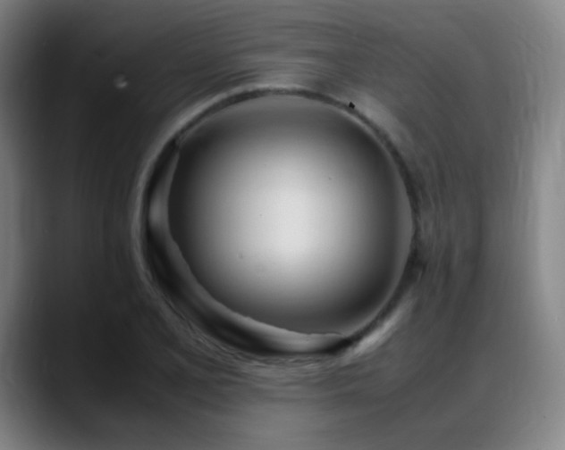 X0000089351077200706151057