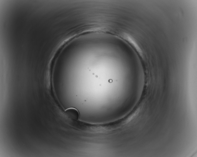 X0000089351079200706151057