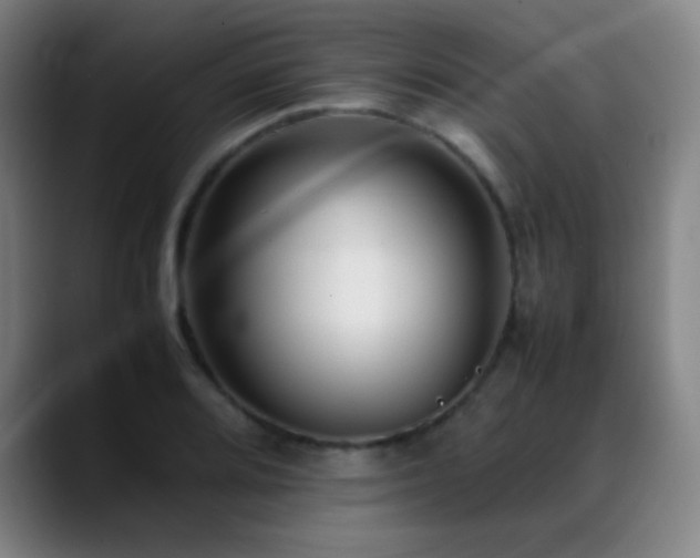 X0000089351080200706151057
