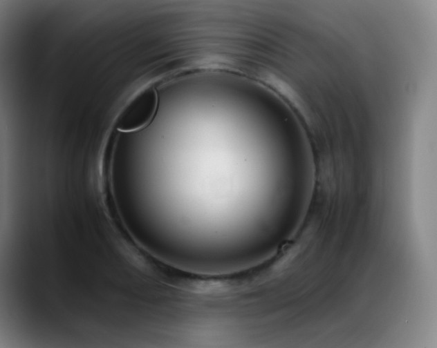X0000089351082200706151057