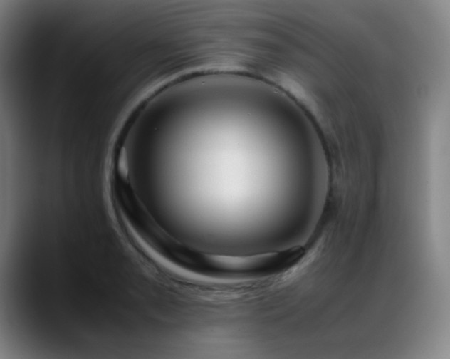 X0000089351085200706151057