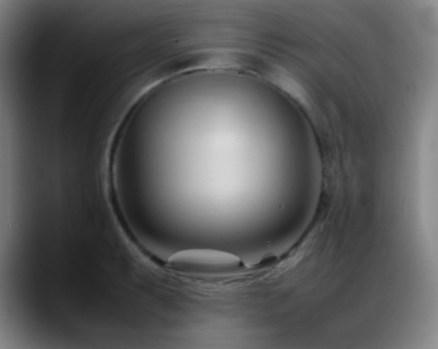 X0000089351087200706151057