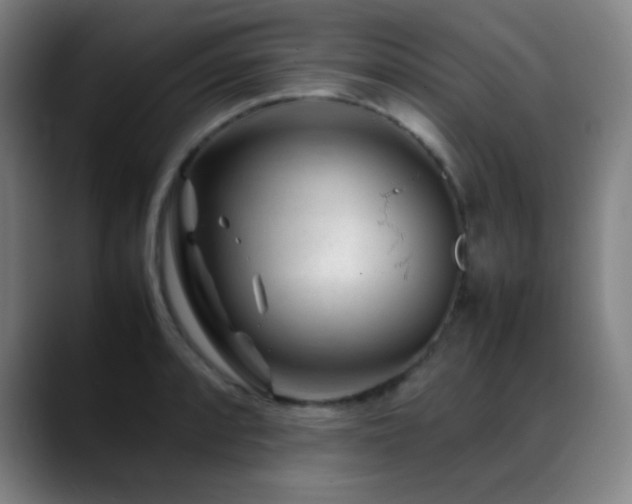 X0000089351088200706151057