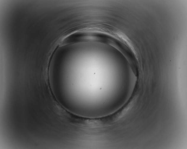 X0000089351089200706151057