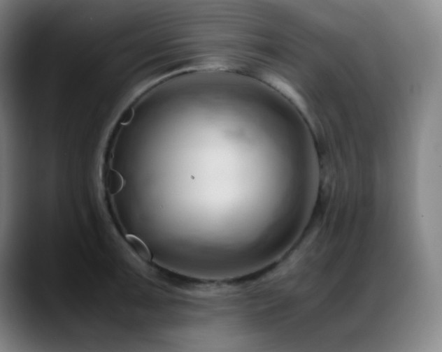 X0000089351091200706151057