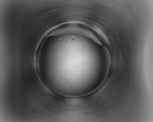 X0000089351092200706151057
