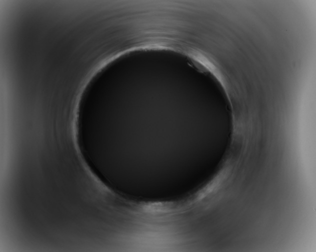 X0000089351093200706151057