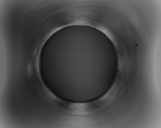 X0000089351094200706151057